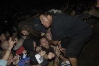 INFEST